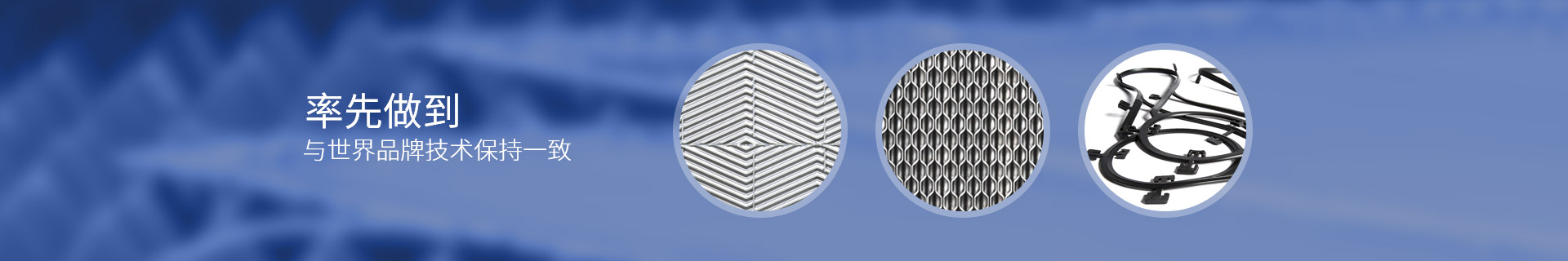 瑞普特，率先做到與世界品牌技術保持一致