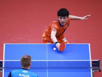 換熱器廠家提前祝賀國乒包攬世界杯冠亞軍！