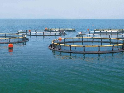 海水養殖板式換熱器