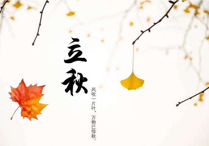 今日立秋,青島瑞普特分享立秋小知識 今日立秋,青島瑞普特分享立秋小知識