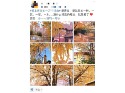 愛上青島的一萬個理由,熱交換器廠家青島瑞普特算一個 愛上青島的一萬個理由,熱交換器廠家青島瑞普特算一個